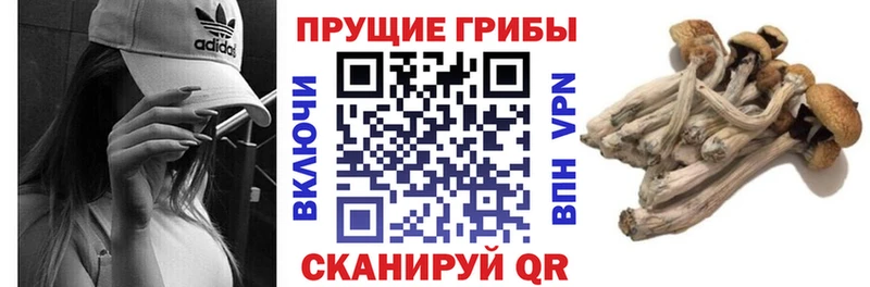Псилоцибиновые грибы MAGIC MUSHROOMS  Усть-Джегута 